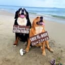 2019 Hot Wedding Trends